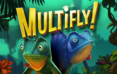 MultiFly! 2 MultiMax